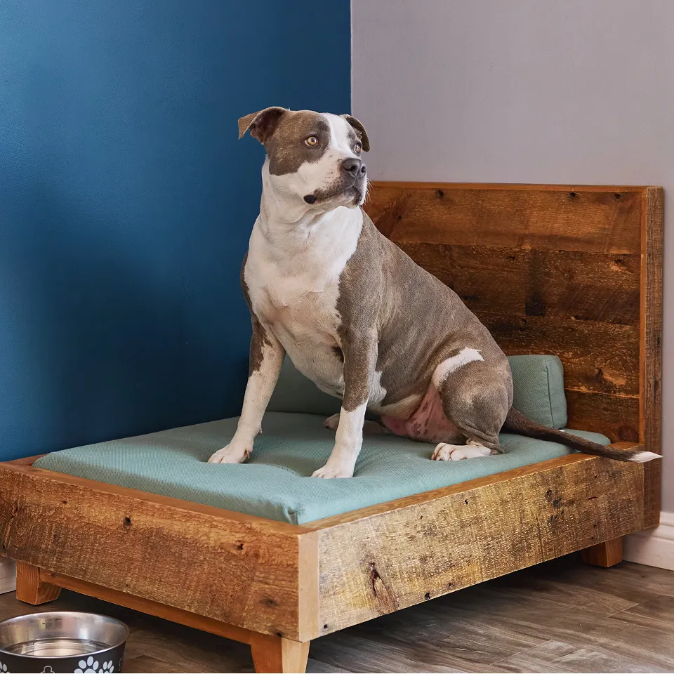Cama Elevada para Exteriores y Patios