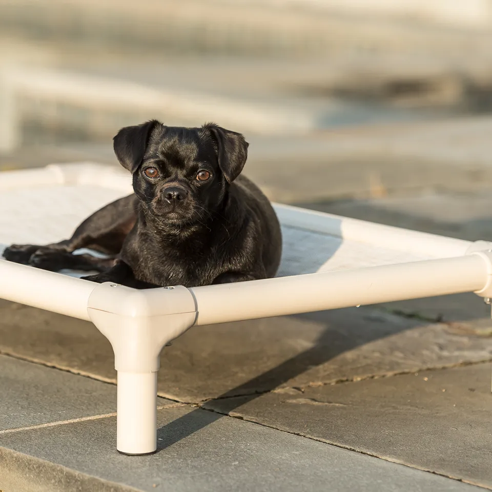 Cama de Viaje Plegable zzzPerrito