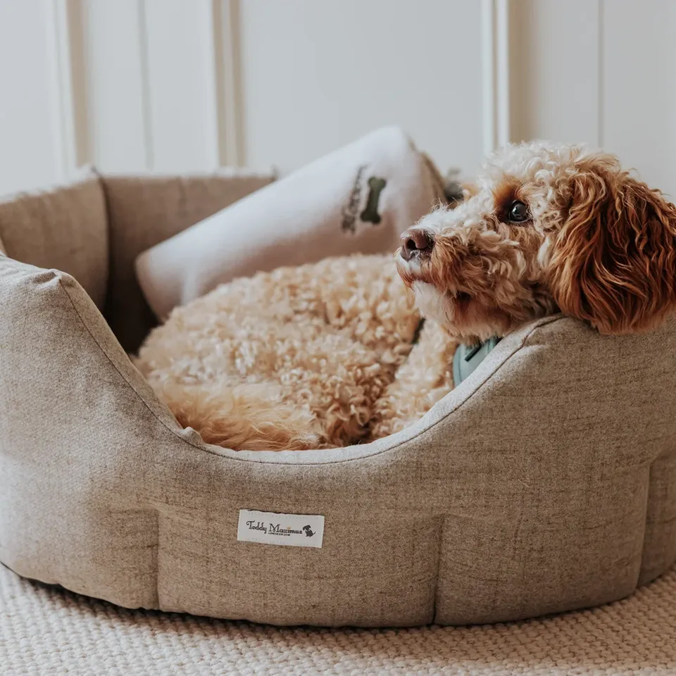 Cama de Lujo con Almohada Cervical